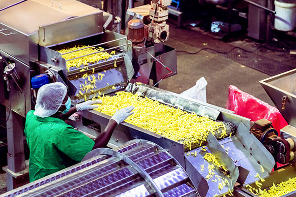 food cutting and blend mixing dust