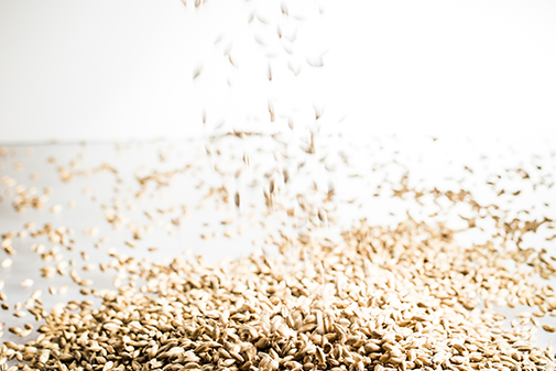 Seeds being processed in a baking facility that has solutions in place for food processing dust collection