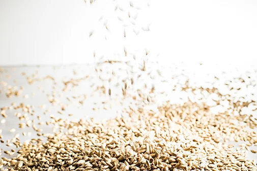 Seeds being processed in a baking facility that has solutions in place for food processing dust collection