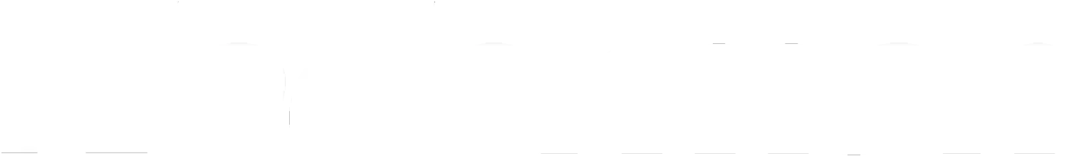 nederman logo