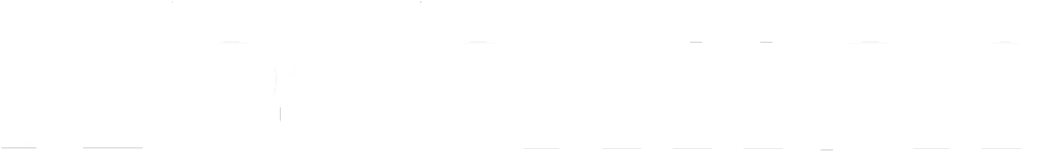 nederman-logo nederman logo